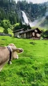 5.4M views · 596K reactions | Switzerland has the most beautiful scenery Full Video: https://youtu.be/fIJ8kOp1LiA | Beauty Of Planet Earth | Facebook