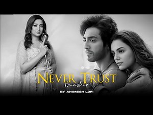 Never Trust Mashup | Sunn Raha Hai x Dhadak | Sadness Chillout | Animesh Lofi
