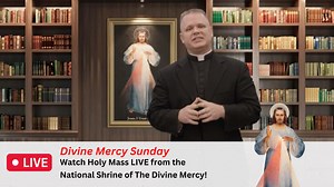 2.5K views · 471 reactions | WATCH LIVE: On Sunday, April 16, 2023, watch Divine Mercy Sunday Holy Mass LIVE from the National Shrine of The Divine Mercy in Stockbridge, MA, at 12 p.m. EST on EWTN and streaming online at TheDivineMercy.org. To learn more, visit: https://www.thedivinemercy.org/articles/thousands-expected-national-shrine-divine-mercy-weekend-2023 | Divine Mercy (official) | Facebook