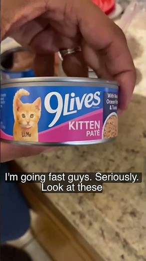 They LOVED It! Weaning 5 Hungry Kittens! Easy Creamy Milk Replacer + Pate Mix 🐱🥛