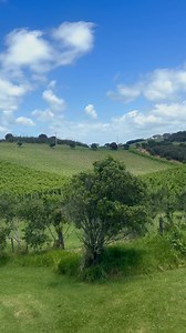 Timora Shapira on Reels