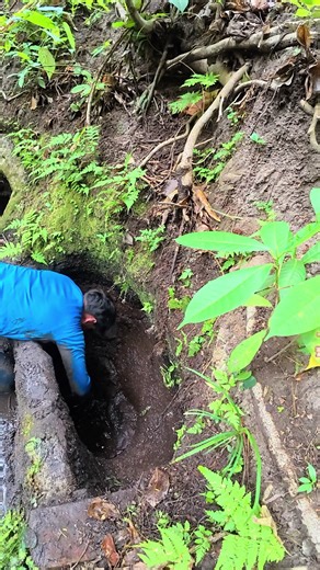 Rescatando un Nacimiento de Agua en Huehuetenango