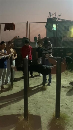 Master Your Strength with Calisthenics Techniques