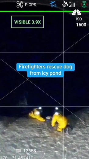 A close call for Rufus. The dog fell into an icy pond and was rescued by a crew from the Maynard Fire Department in Massachusetts. Maynard police shared drone footage that shows the moment Rufus was pulled out of the water.