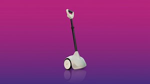 Can this robot help solve a guide dog shortage?