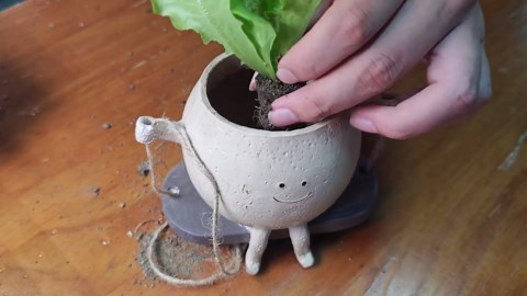 85 Pack Hydroponic Pods Supplies for Aerogarden Pods, Grow Sponges for Hydroponics, Seed Pods Kit with 36 Grow Sponges, 36 Pod Labels,12 Plant Labels, 1 Tweezer for Hydroponic Indoor Garden System