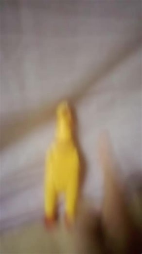 nuevo integrante el gracioso Don pollo te reirás mucho con él es muy gracioso