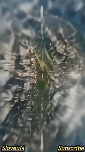 जय श्री राम #sanatandharma #ram #jaimatadi #harharmahadev #hanuman #hanumanji #mahadev #krishna