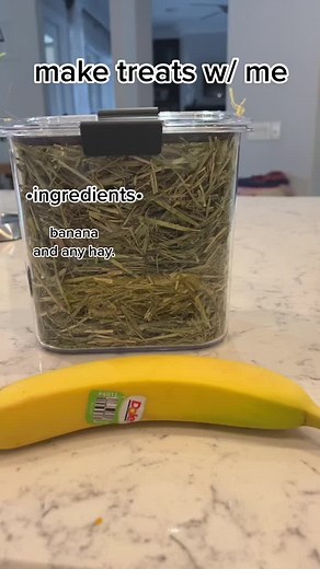 make treats with me! #fypシ #guineapigsoftiktok #guineapig #guineapigtreats #viral