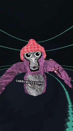 Ima have the color code as pink from now on #gorillatag #gorillatagfun #gtag #gorillatagquest