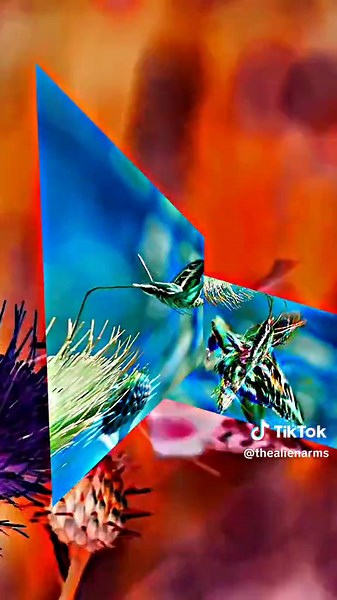 thealienarms on TikTok