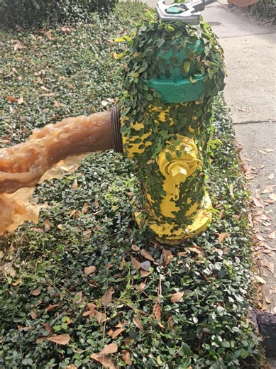 Overgrown hydrant flush. #fyp #foryoupage #fresh #fire #plants | plants