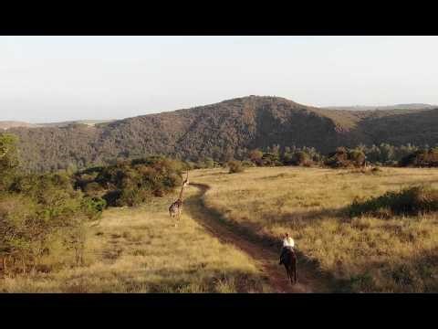 Riding The Zululand Game Trail