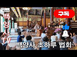 [초하루법회] 주지스님 기도부터 선덕스님 명법문까지! 🌸 백양사 대웅전 초하루 법회 풀스토리 (feat. 포교국장 스님의 신나는 관세음보살 박수로 힐링 마무리) ✨