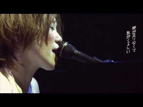 【live】byrd / EGO-WRAPPIN' (日本語訳字幕付)