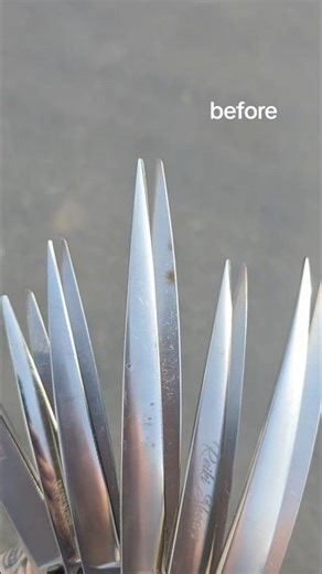 Before amd After Dog Groomers Njghtmare! Disaster averted!!