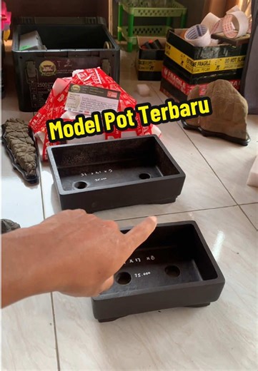 Pot Bonsai Murah -0851-8500-9038- #pot #bonsai #potbonsai #potkontes #potbonsaikontes