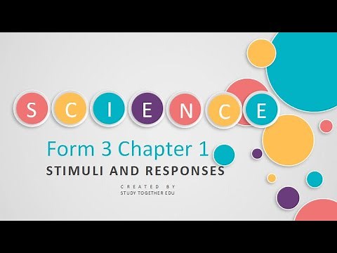 Chapter1 Stimuli and Responses in Humans Form 3 KSSM