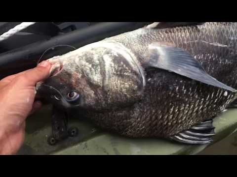 The Sound of Black Drum