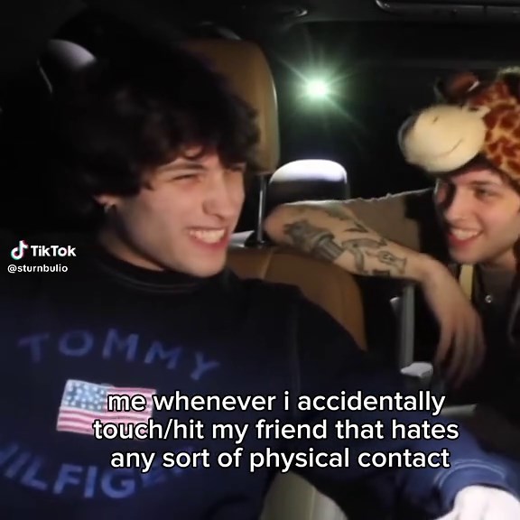 Exploring the Sturniolo Triplets Experience