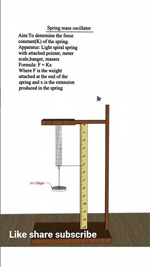 Spring mass oscillator. #physicsanimation#Hscphysics