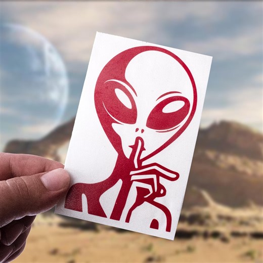 Shhh Alien (2 PACK) Vinyl Decal: UFO Secret Cryptid Car Window Sticker - Etsy