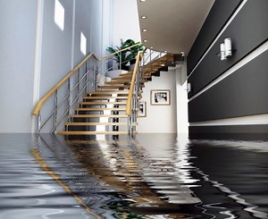Expert water extraction services by American Water Damage