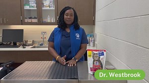 What to know about cat vaccinations