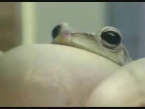 Source: https://www.youtube.com/watch?v=HRFGersoS5U | Cursed Commercials