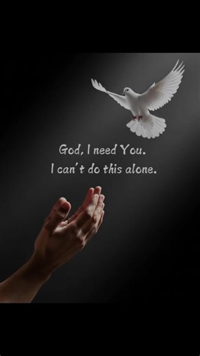 Love Songs for Lovers | Full Lyrics and Emotional Vibes