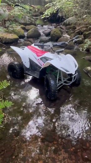 Modded Razor Quad 500