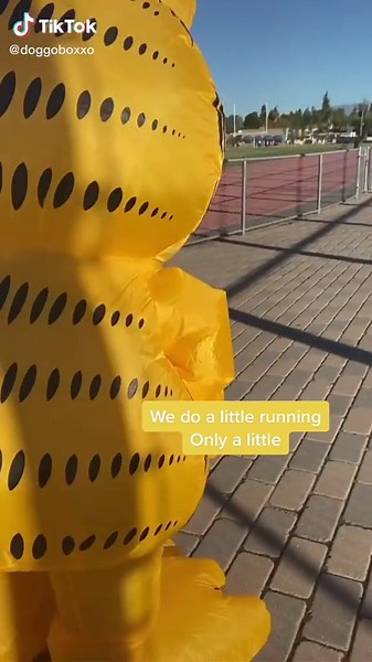 Running in an Inflatable Garfield Costume at High School
