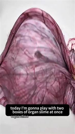 Exploring 2 Boxes of Organ Slime at Once!