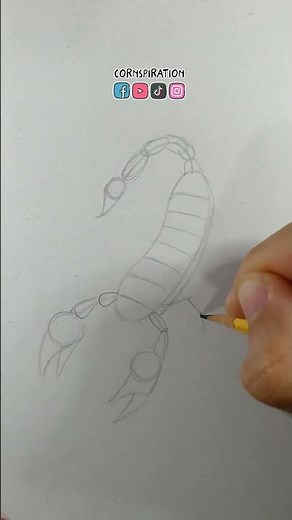 How to draw a Scorpion 🦂🦂🦂 Step by Step