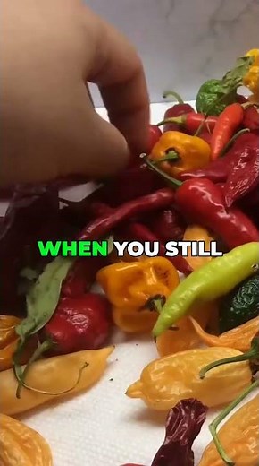 Dehydrate Peppers Like a Pro: Prep Guide #shorts #gardeningtips