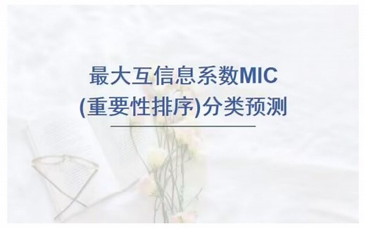 最大互信息系数MIC(数据特征选择算法)的分类预测，多输入单输出模型。