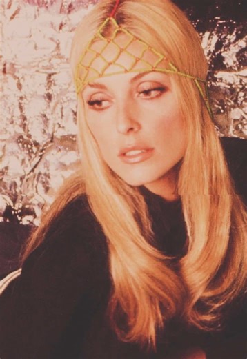 Sharon Tate as Malibu in “don’t make waves” #sharontate #60s #fyp #viral