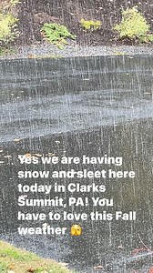 You are not seeing things lol. We are having snow and sleet in Clarks Summit, PA🫣 | The Crafty Decorator