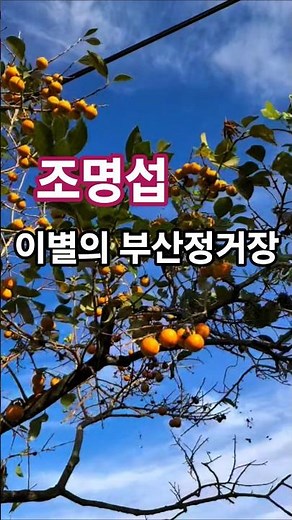 1953 Busan Station of Parting, Jo Myeong-seop's Old Song #Nam In-su