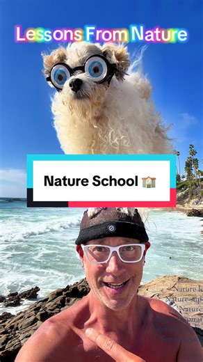 Lessons From Nature: Embrace Growth and Inspiration