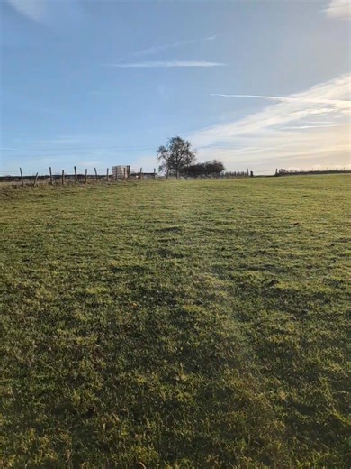 3.3K views · 21 reactions | Fantastic morning here in Durham checking the tupping ewes | N R Fell Mobile Sheep Dipping | Facebook