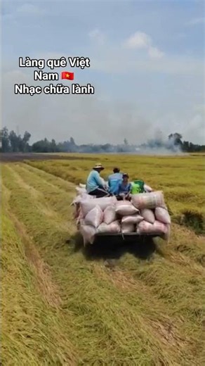 Nhạc Chữa Lành Làng Quê Việt Nam 🌾 Tiếng Chim Hót & Cánh Đồng Lúa Bình Yên - Thư Giãn