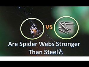 Are Spider Webs Actually Stronger Than Steel? | Experiment