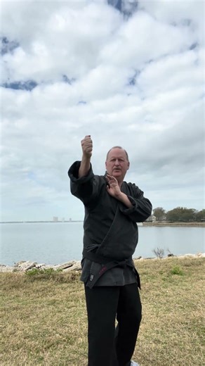 Snapping Twig is a defense against a shoulder grab in 1st Degree Brown Belt.