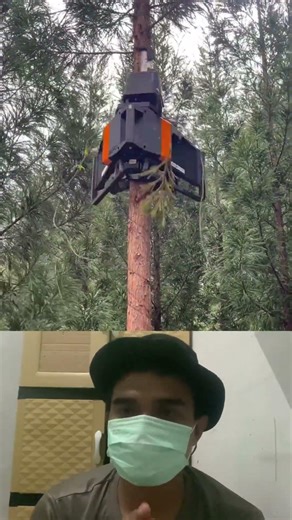 Spinning Tree Trimmer Climbs and Cuts Branches Fast