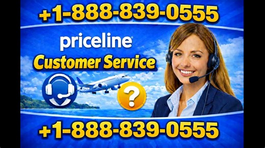 Priceline® Customer Service: Your Complete 24/7 Live Person Support Guide