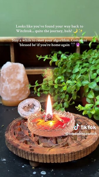 Witchcraft Essentials for Beginners on Witchtok