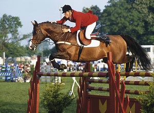 Carole Mortimer comment: Eventing for showjumpers [H&H VIP] - Horse & Hound