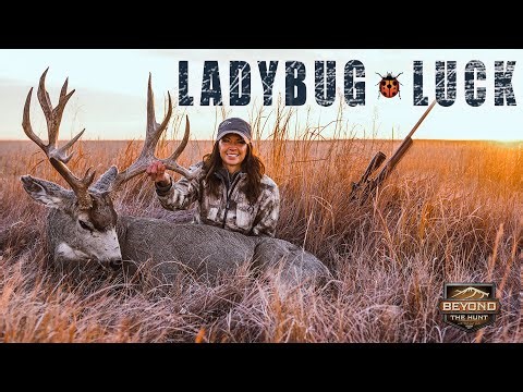 Ladybug Luck Buck