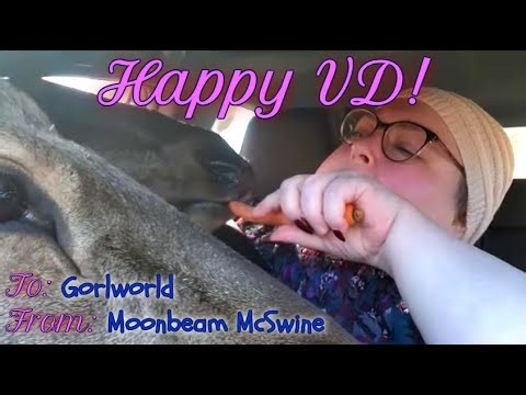 Her Beezin' Heart: A FOODIE BEAUTY Valentine's Tribute to Loves Lost (and Found???)